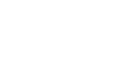 INS Service